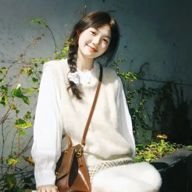 科搜研之女第24季